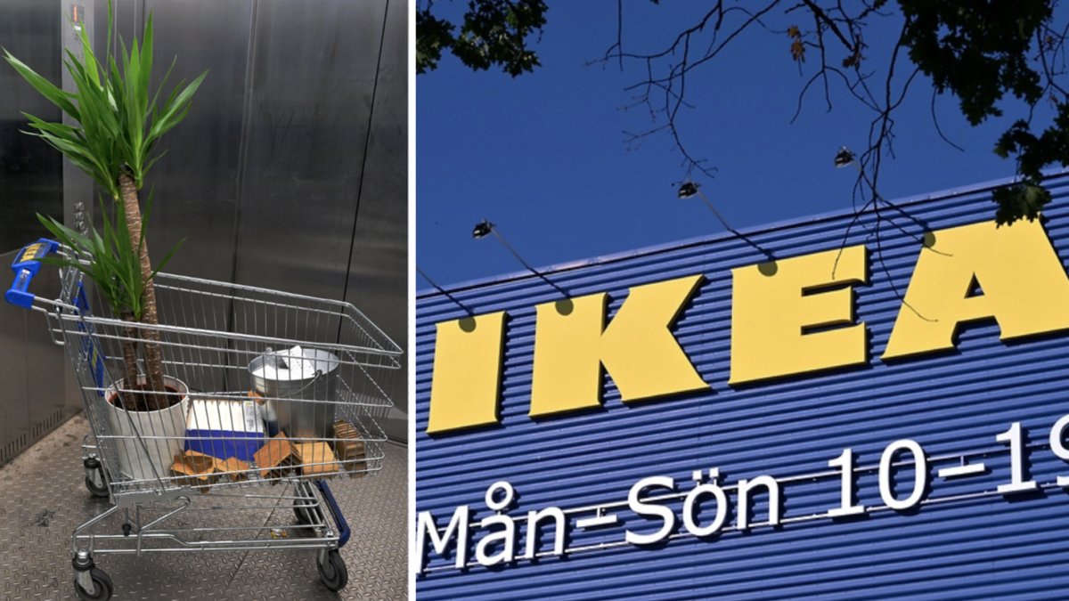 Kvinnan plockade på sig varor för 17 000 kronor på Ikea - varor som hon inte betalat för.
